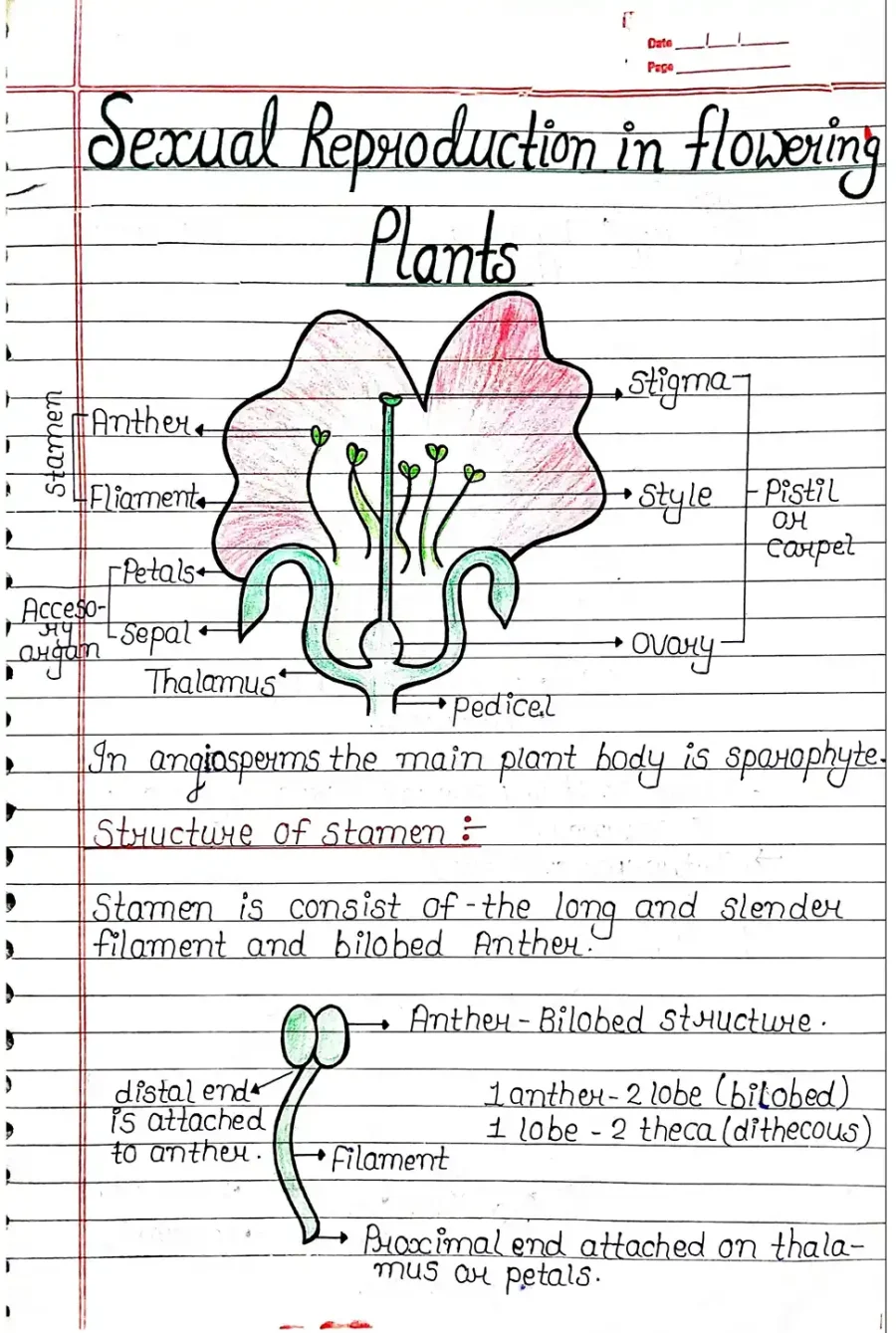 1. Sexual reproduction in flowering plants-01_page-0001 (1)