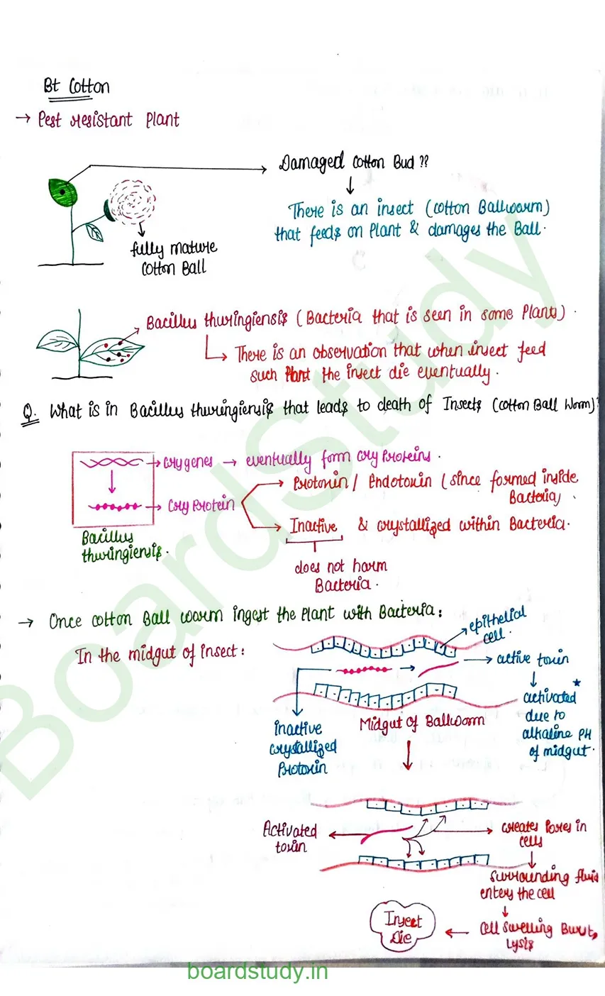 Biotechnology and its applications_page-0003