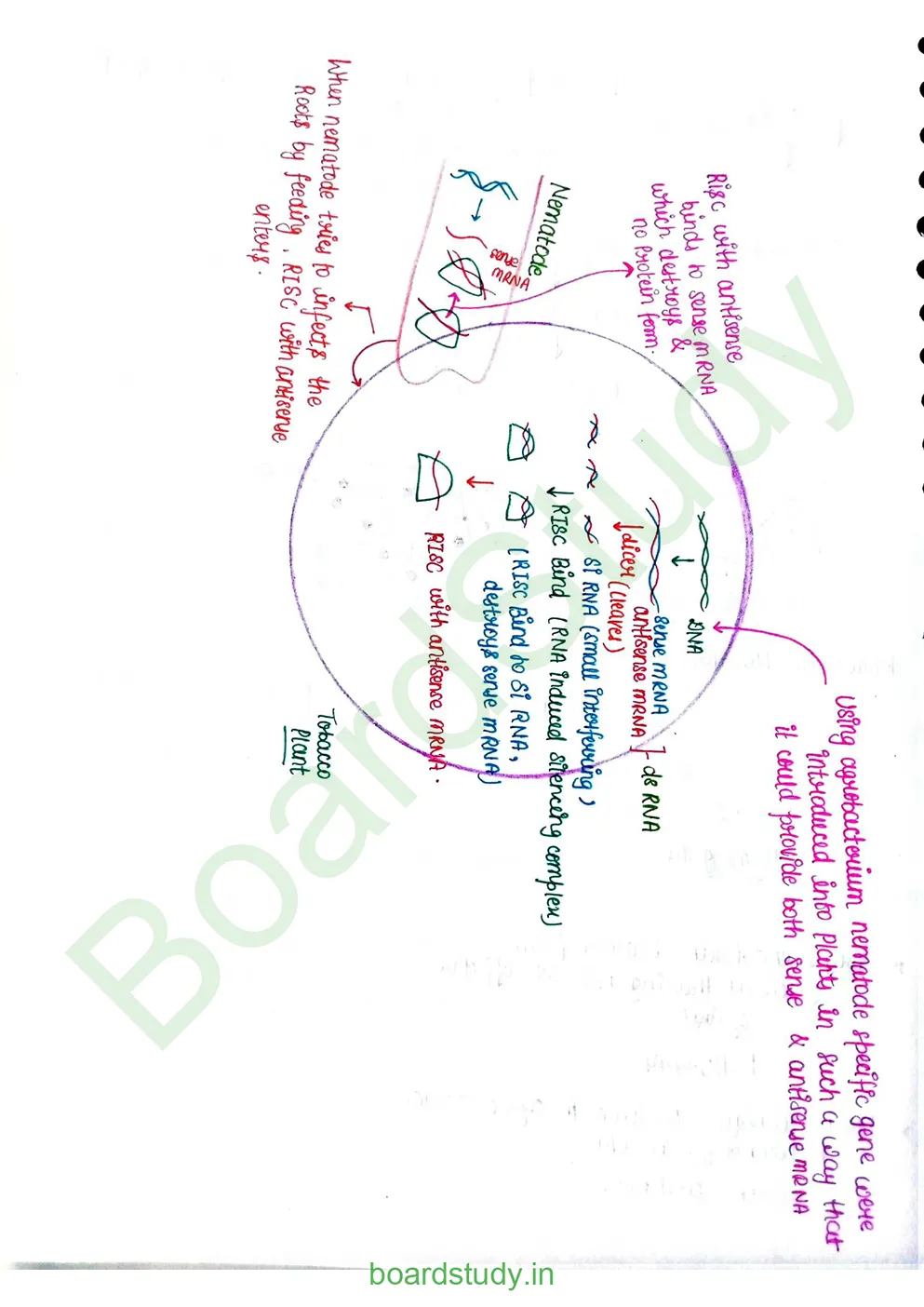 Biotechnology and its applications_page-0006