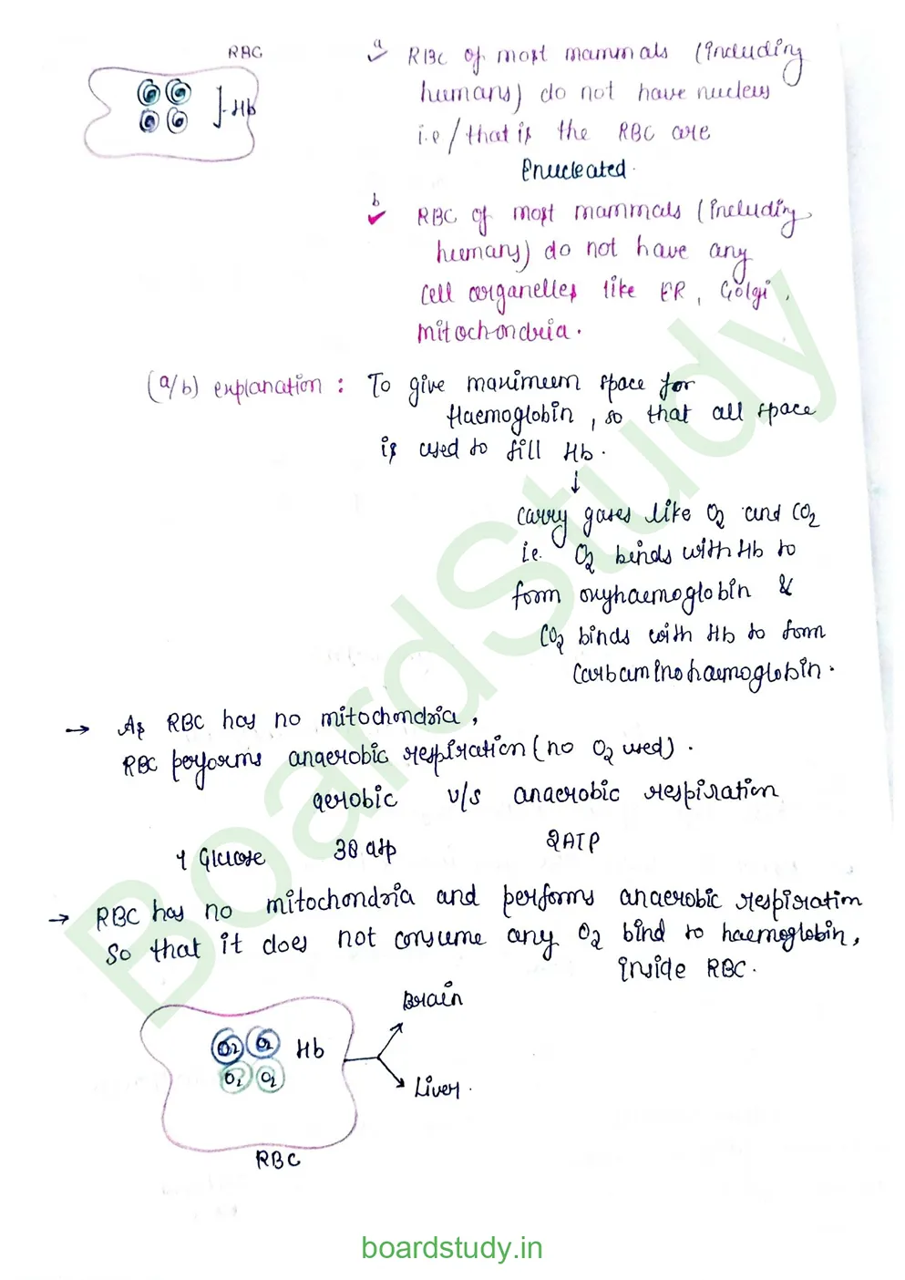 Body fluids and circulation_page-0005