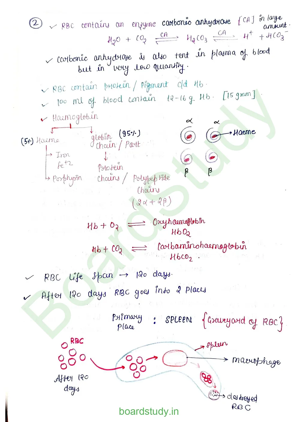 Body fluids and circulation_page-0006