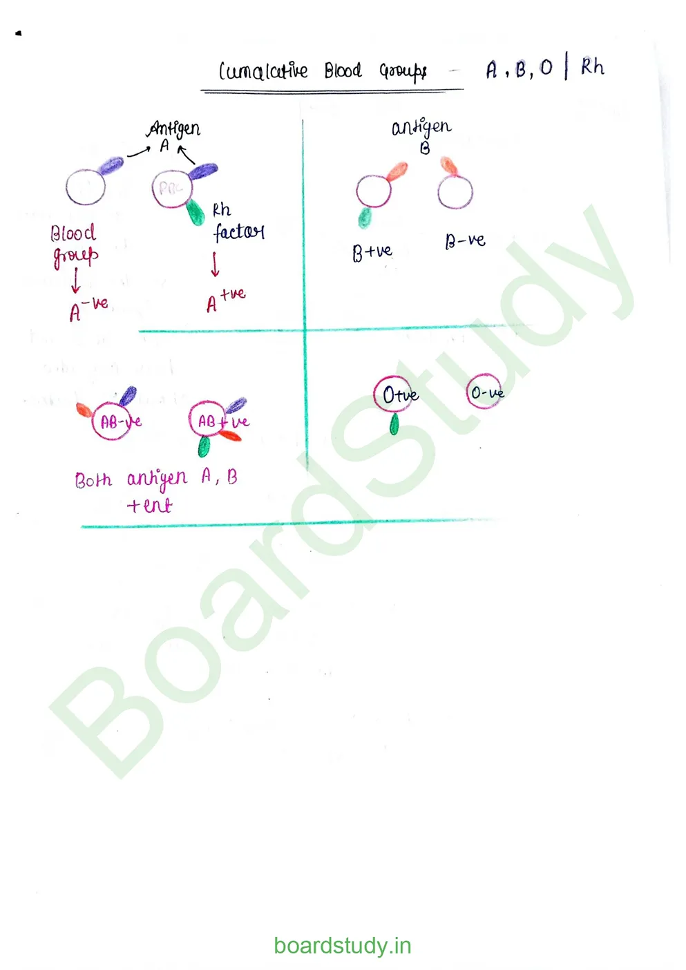 Body fluids and circulation_page-0013