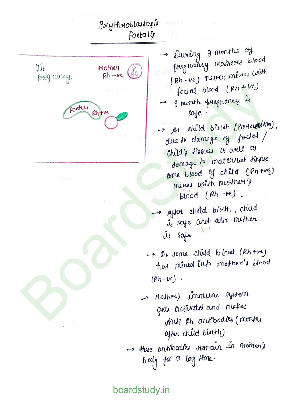 Body fluids and circulation_page-0016