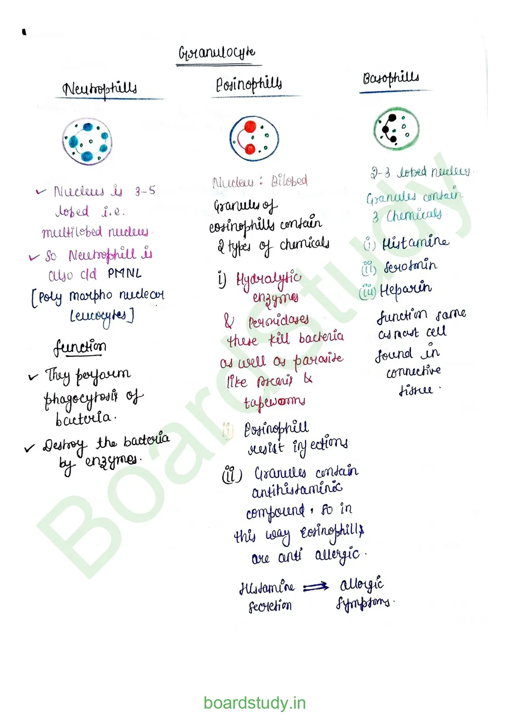 Body fluids and circulation_page-0019