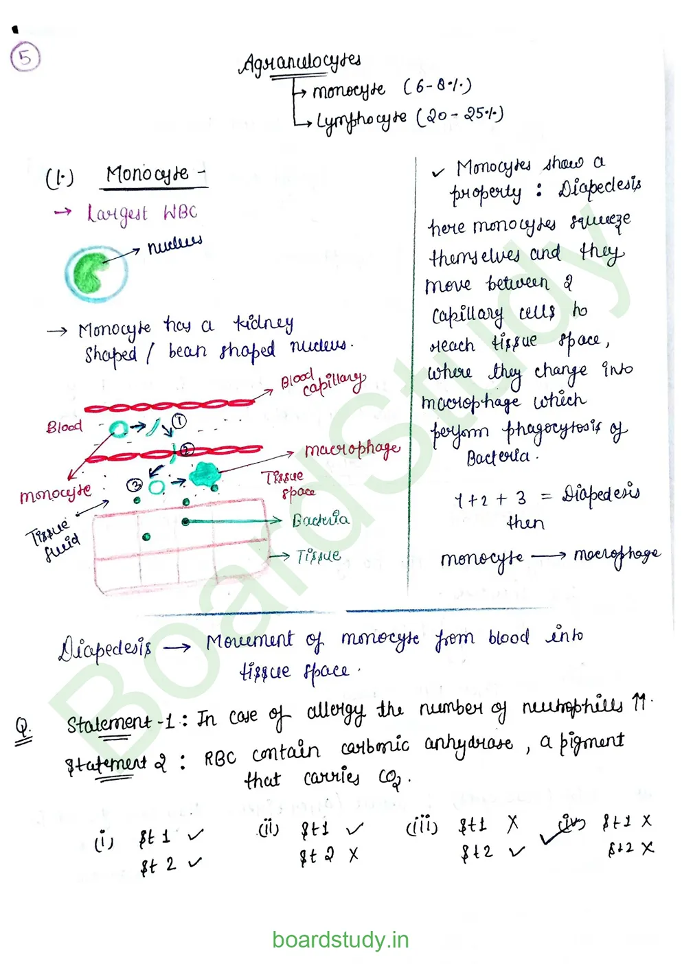 Body fluids and circulation_page-0021