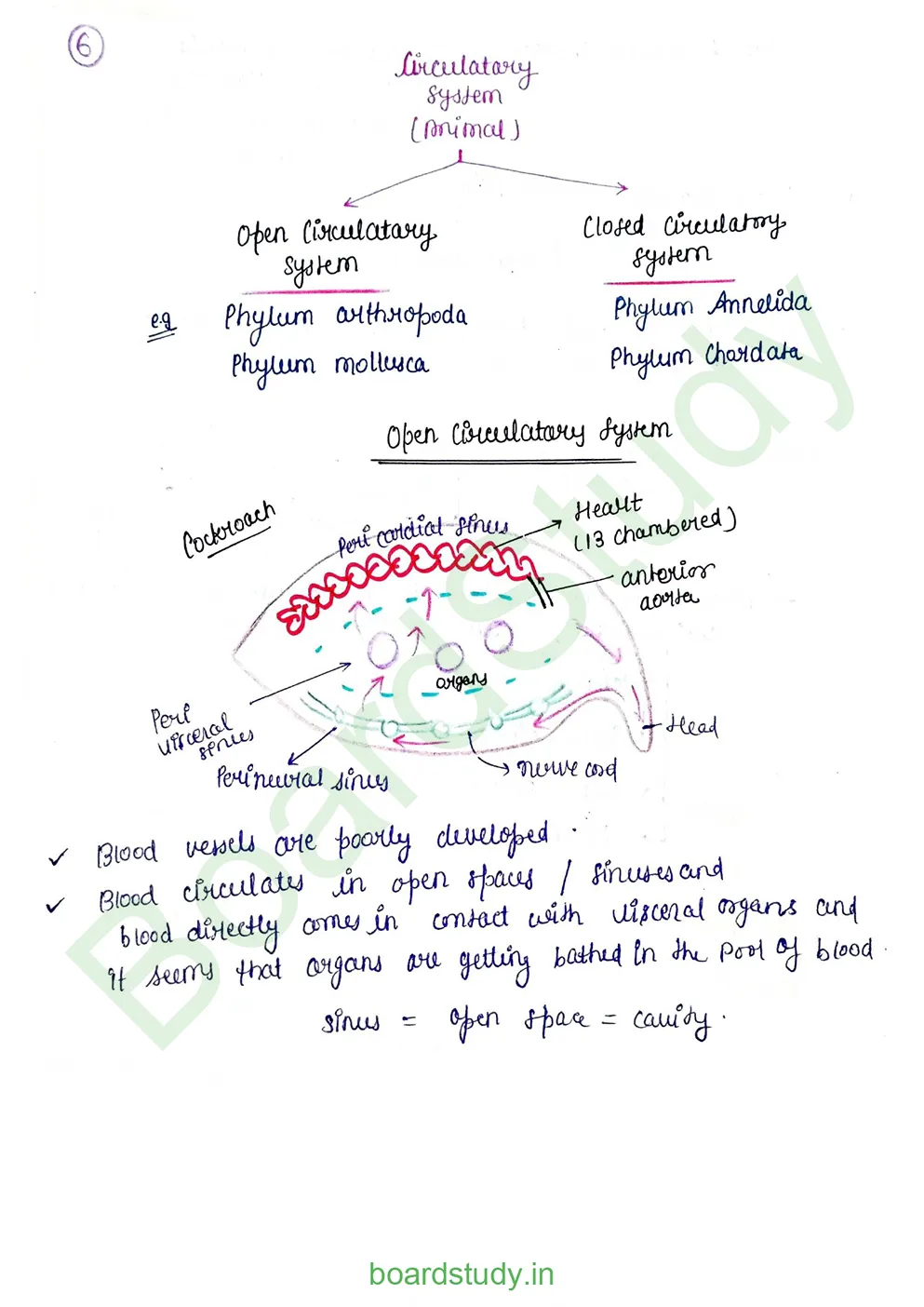 Body fluids and circulation_page-0026