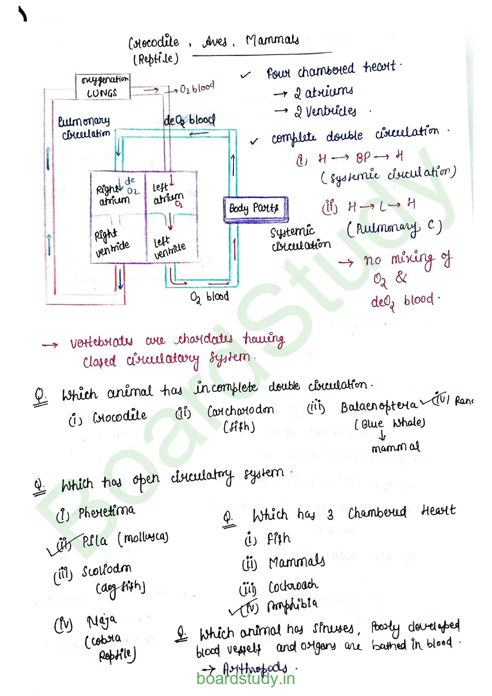 Body fluids and circulation_page-0029