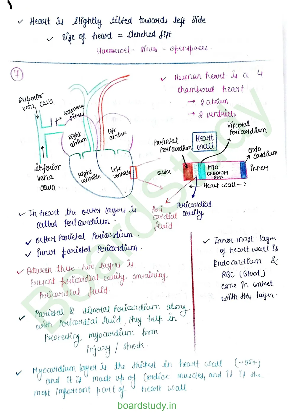 Body fluids and circulation_page-0031