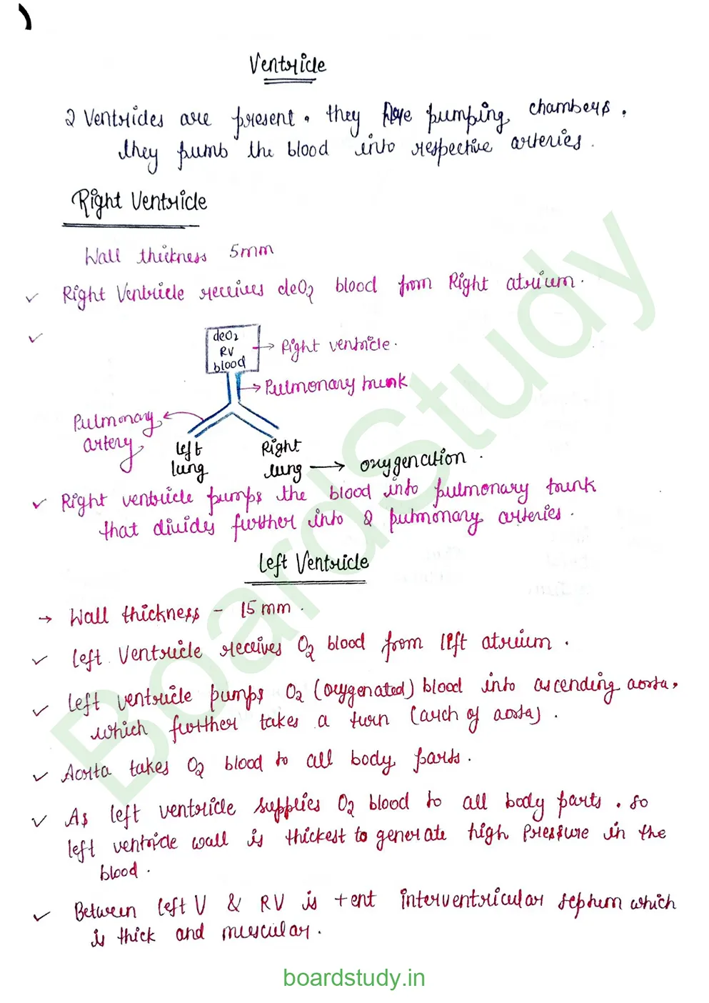Body fluids and circulation_page-0033