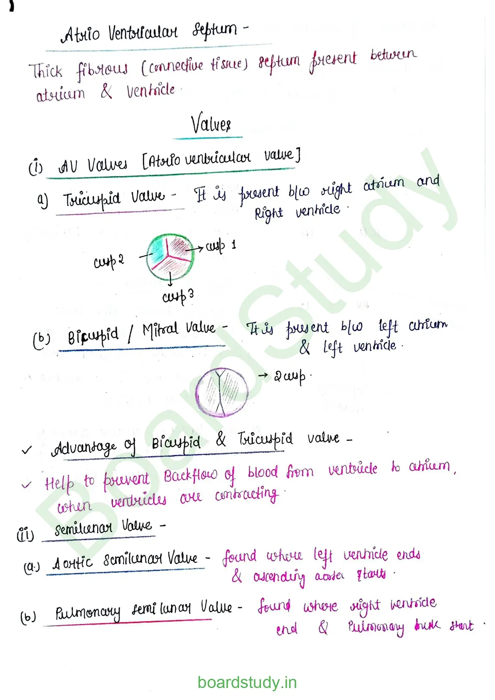 Body fluids and circulation_page-0035