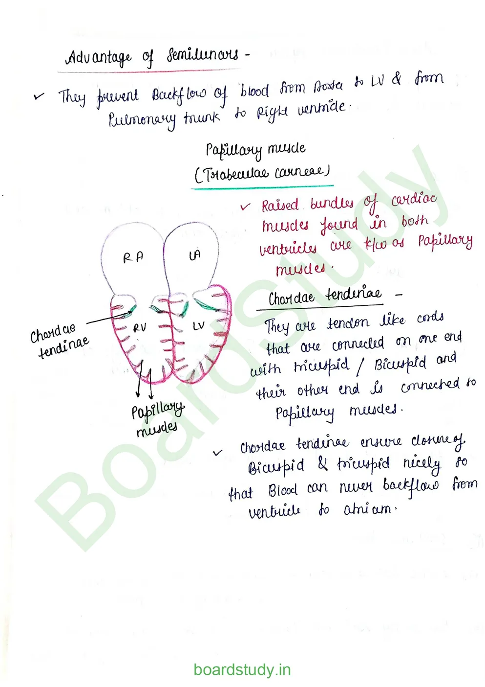 Body fluids and circulation_page-0036