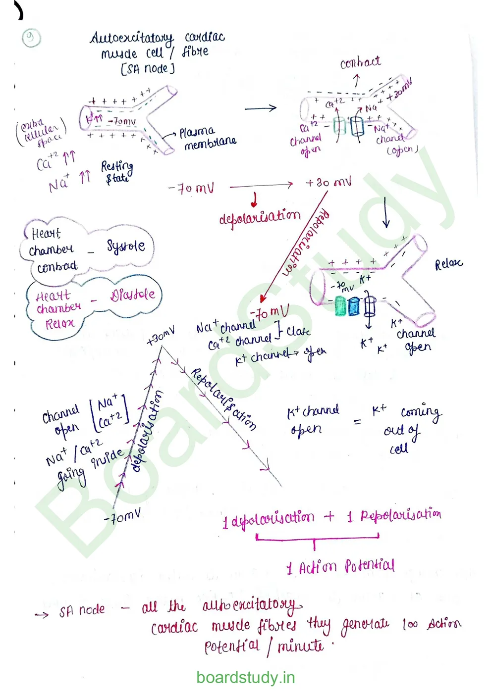 Body fluids and circulation_page-0039
