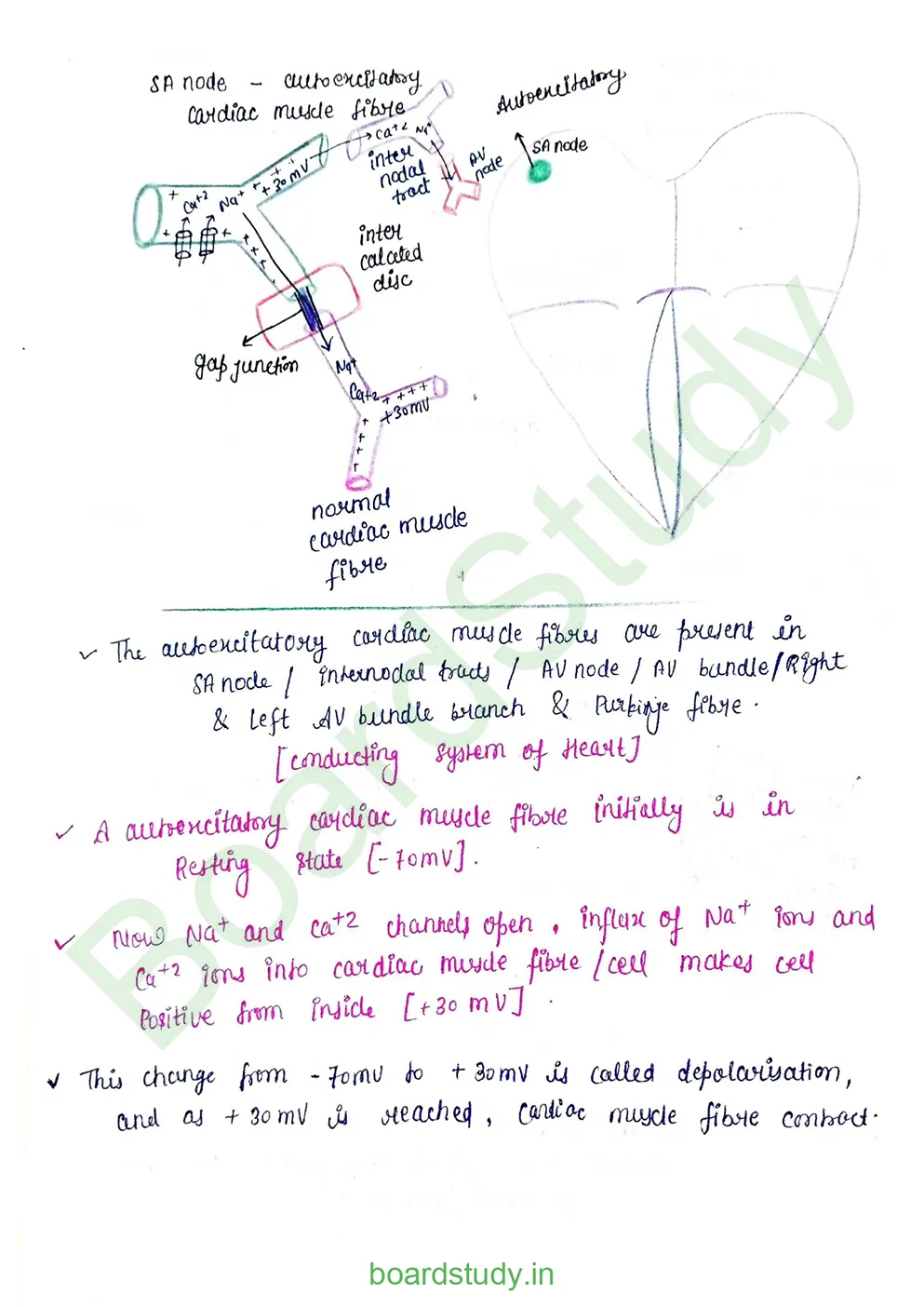 Body fluids and circulation_page-0040