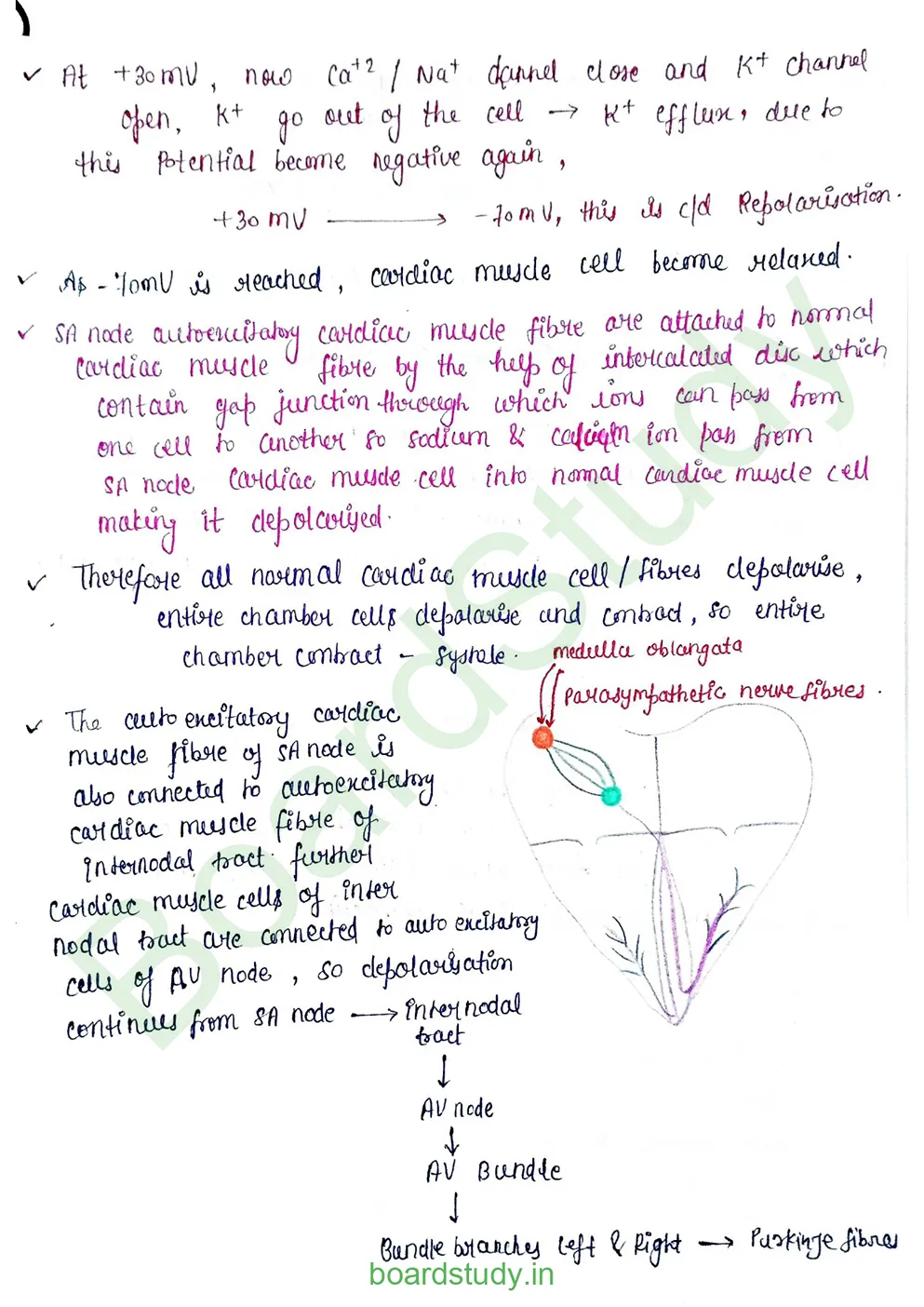 Body fluids and circulation_page-0041