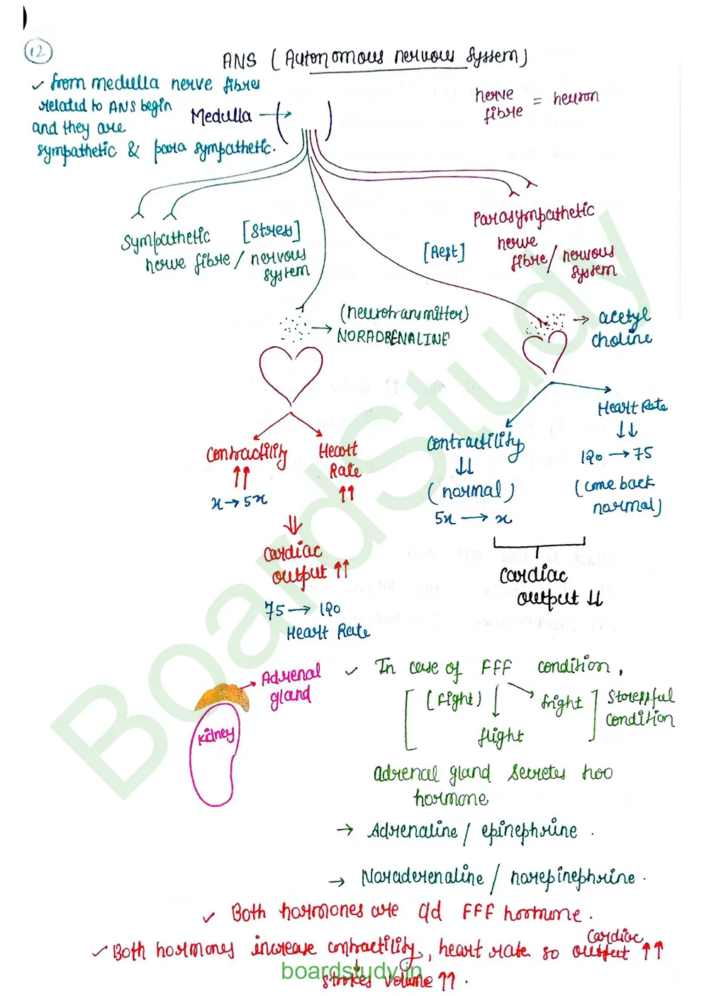 Body fluids and circulation_page-0051