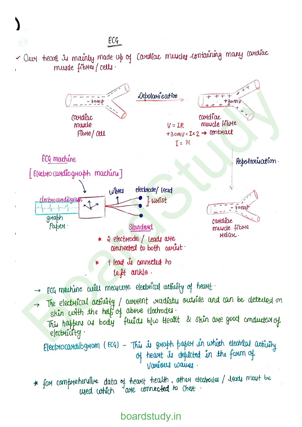 Body fluids and circulation_page-0053