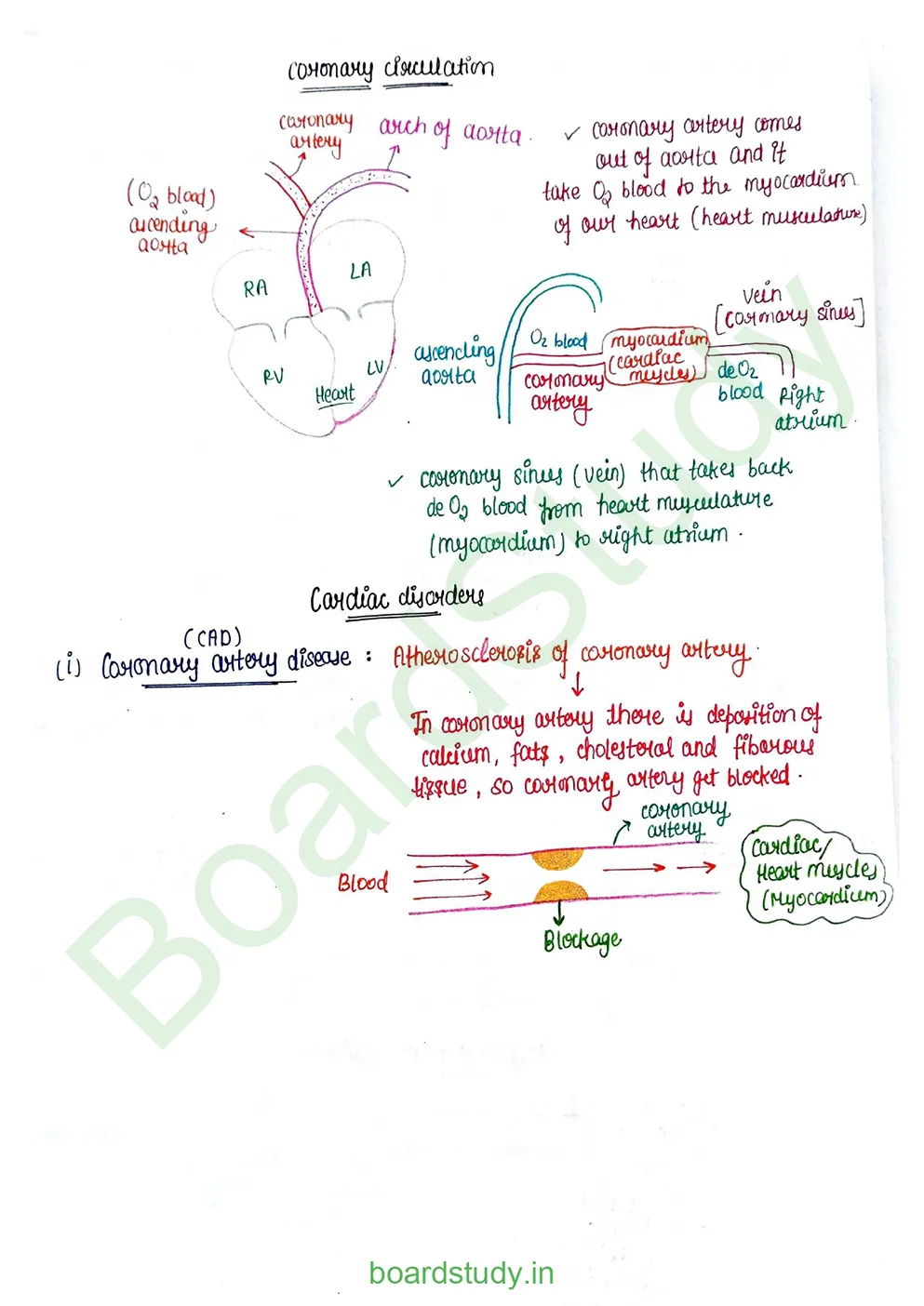Body fluids and circulation_page-0055