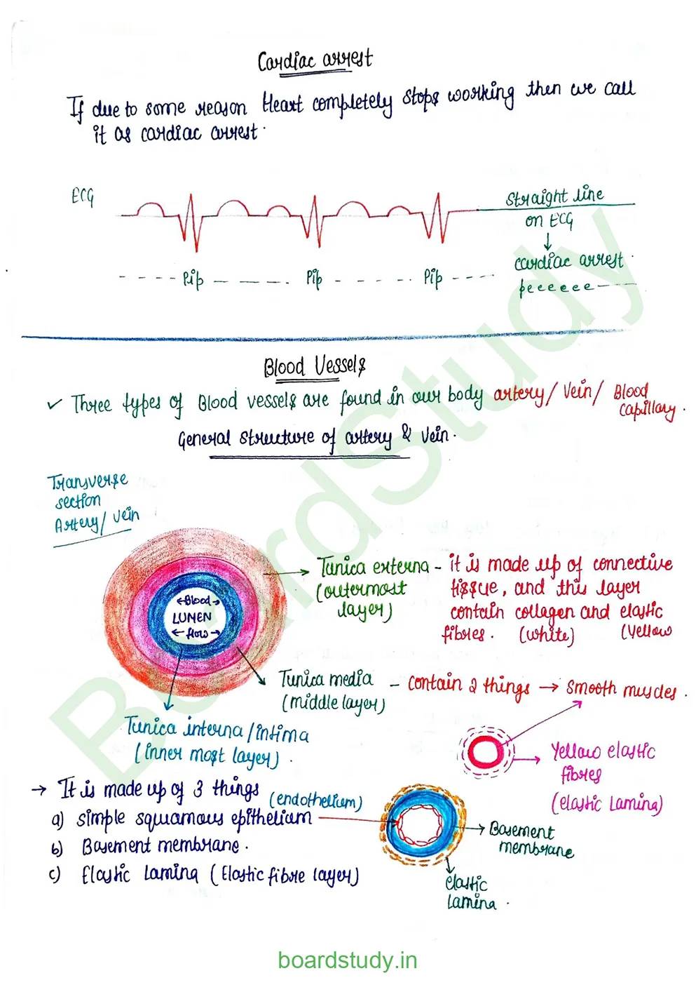 Body fluids and circulation_page-0058