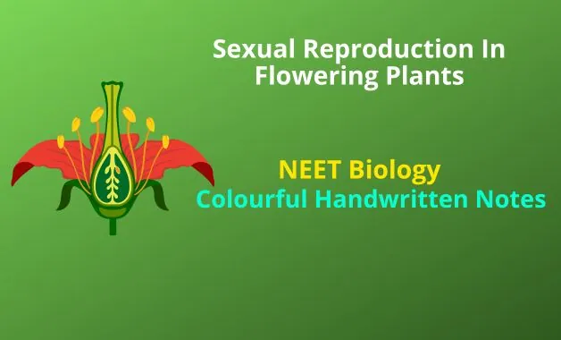 Chemical Coordination and Integration Notes PDF