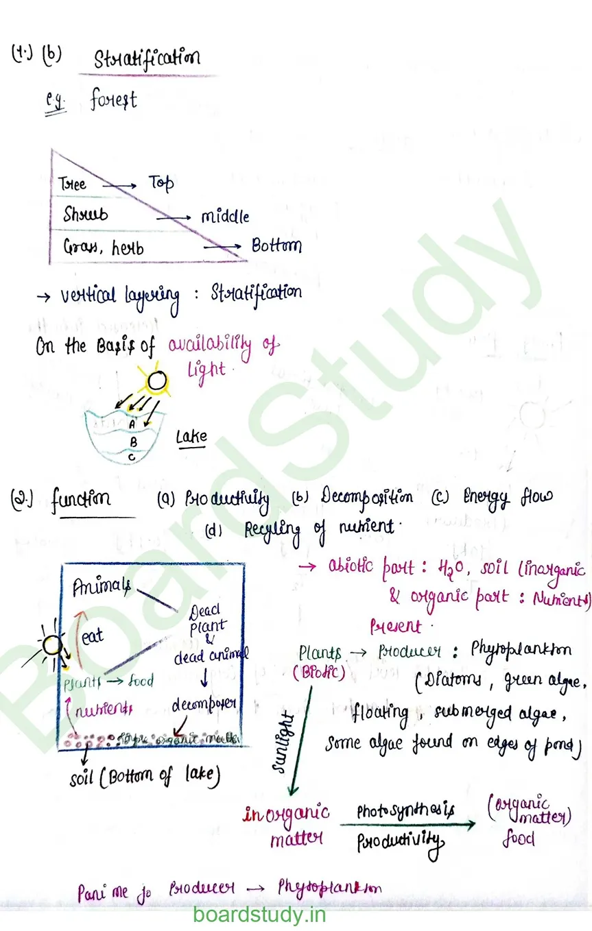 Ecosystem_page-0003