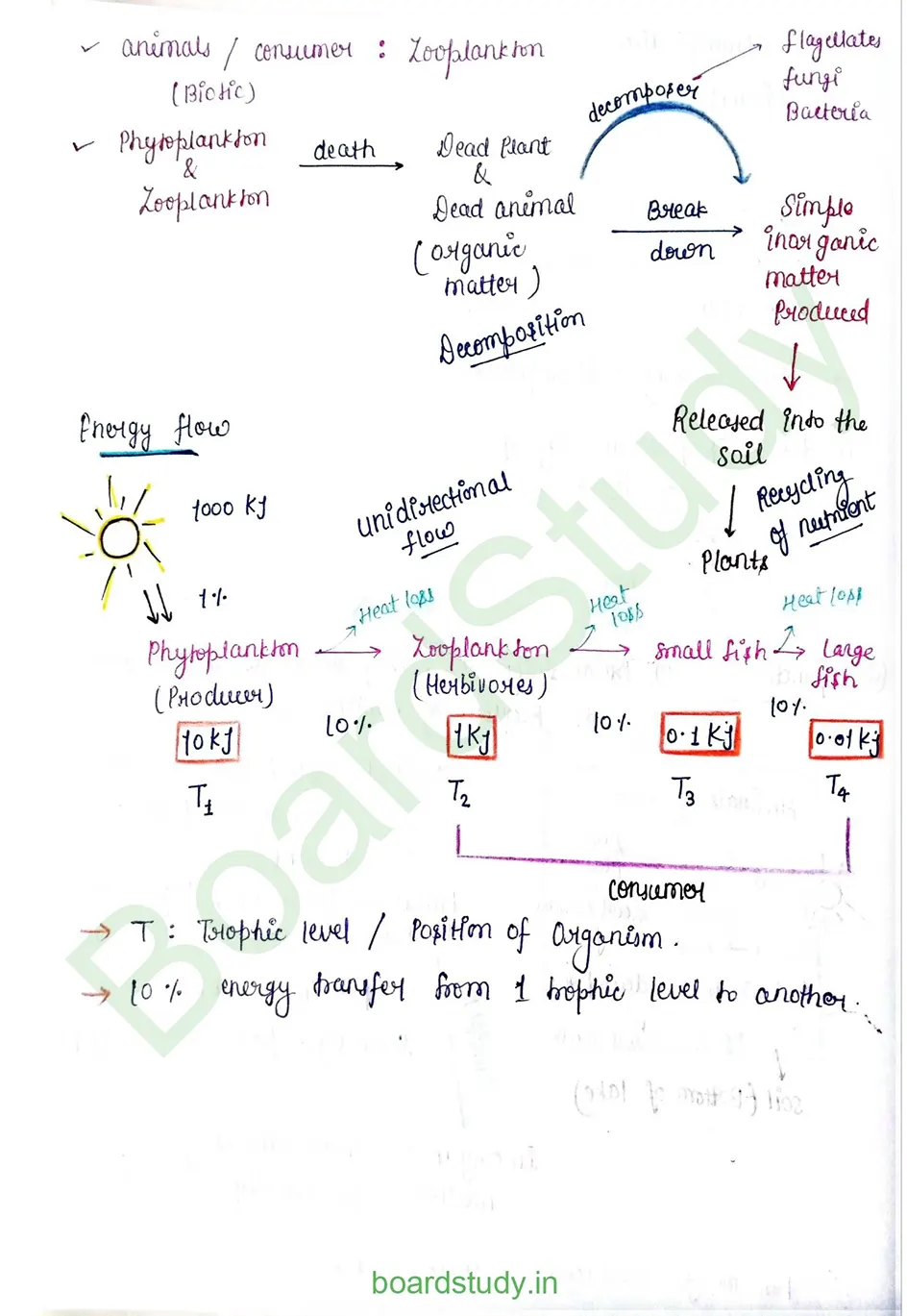 Ecosystem_page-0004