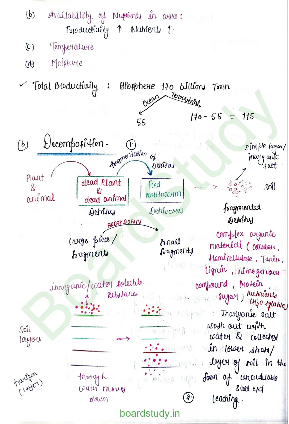 Ecosystem_page-0006