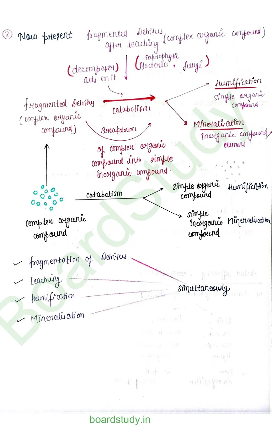 Ecosystem_page-0007