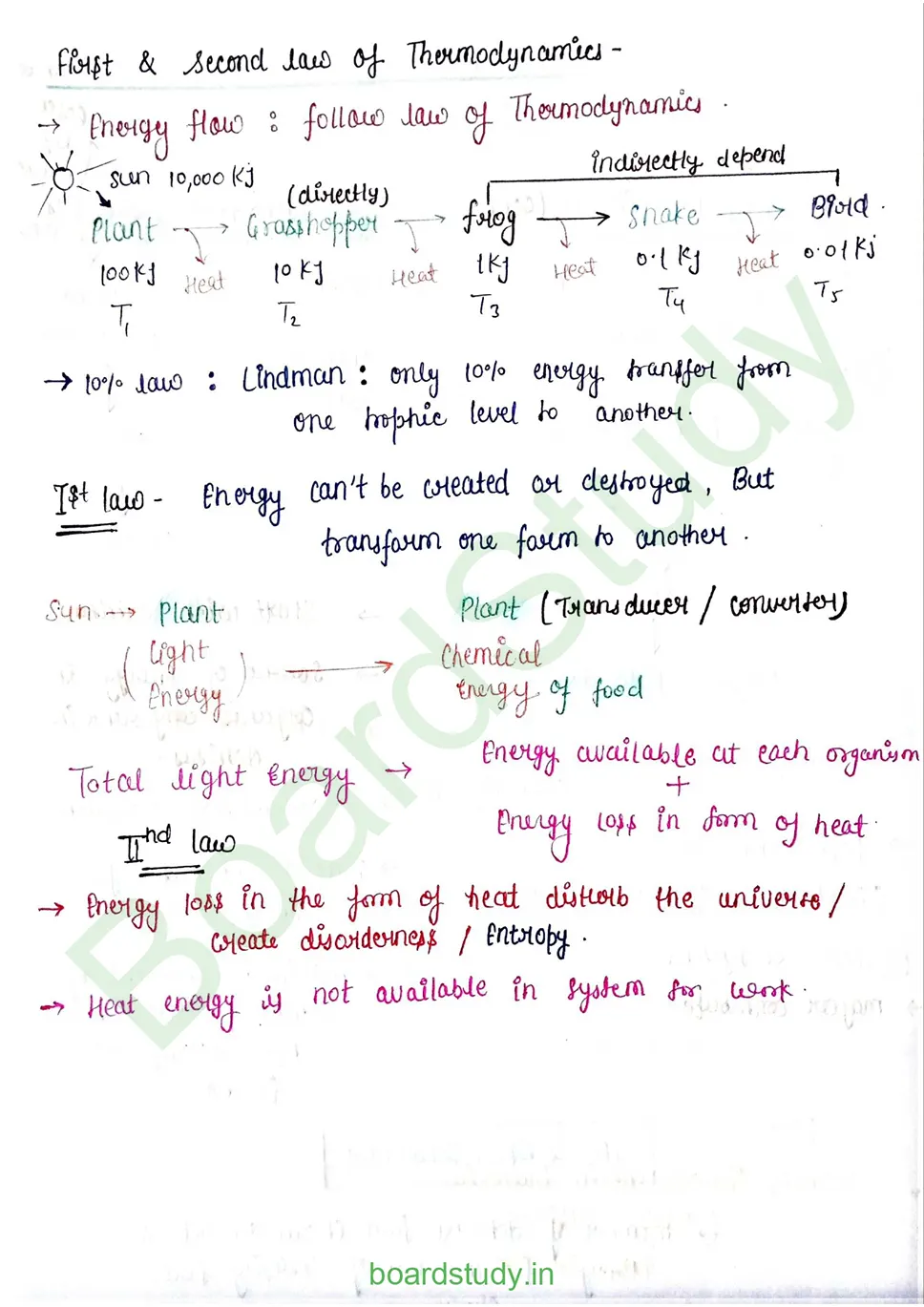 Ecosystem_page-0011