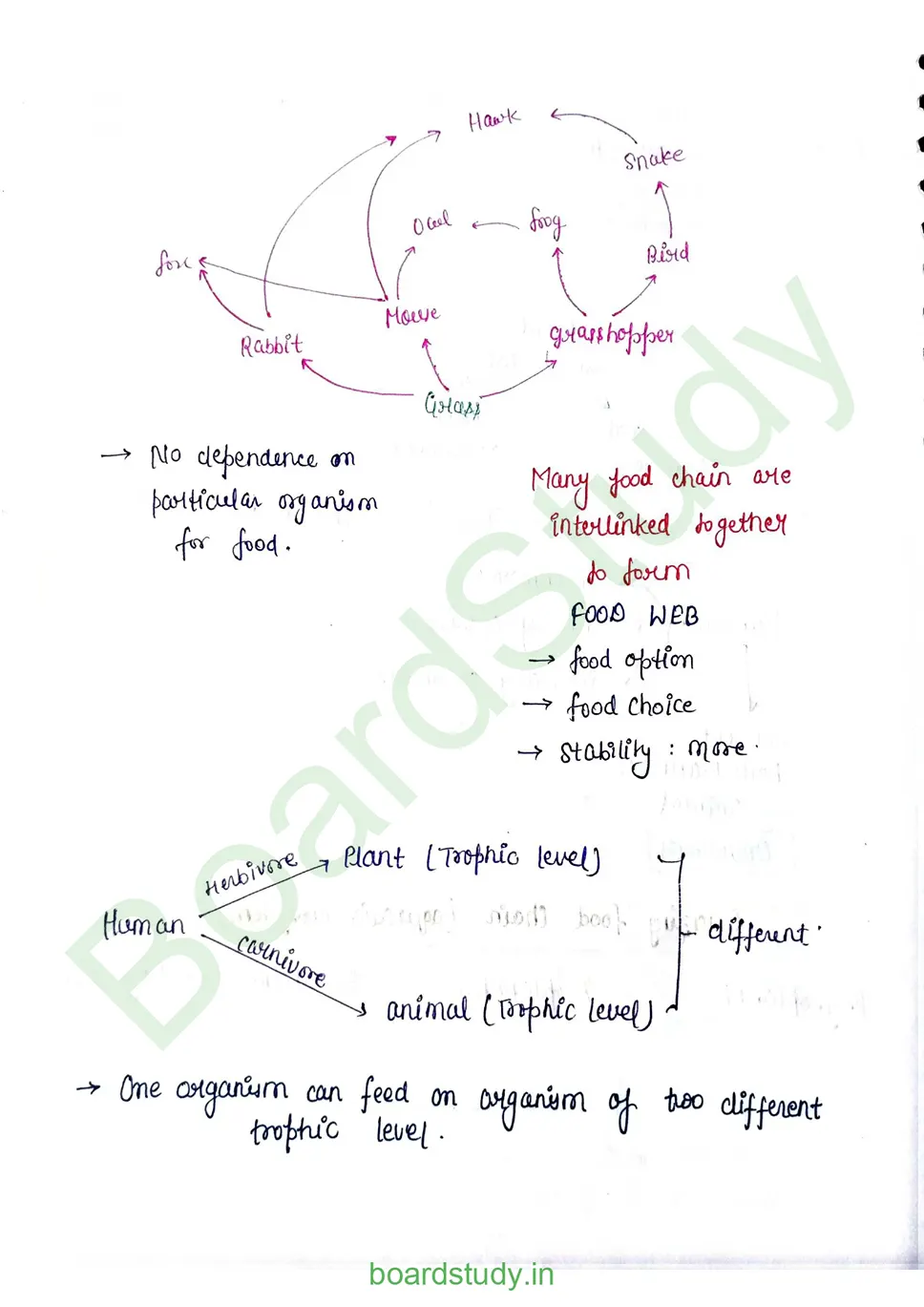 Ecosystem_page-0014