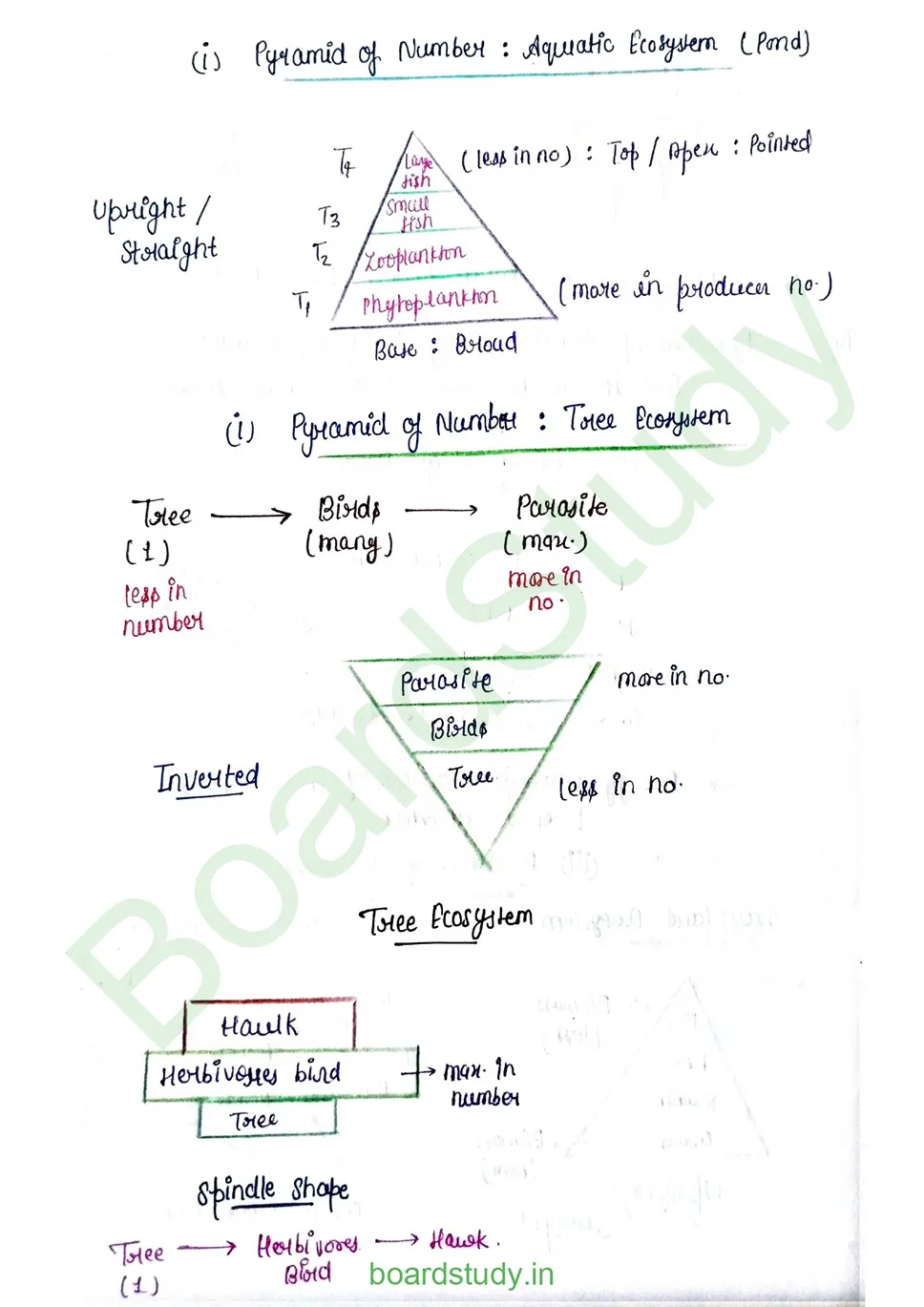 Ecosystem_page-0017