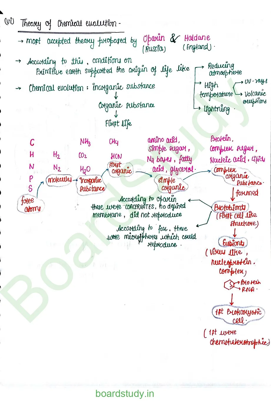Evolution_page-0005