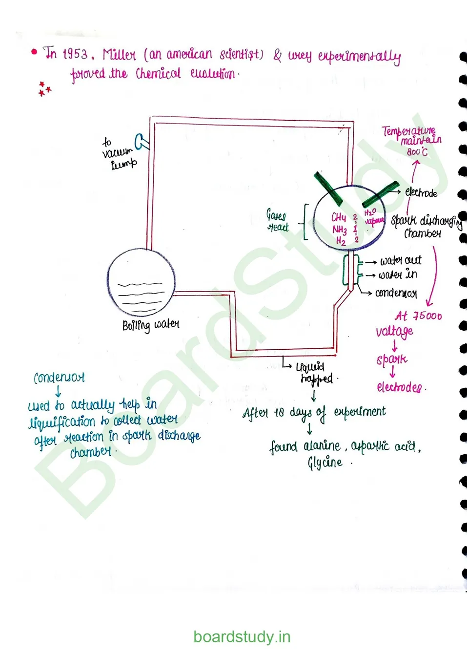 Evolution_page-0006