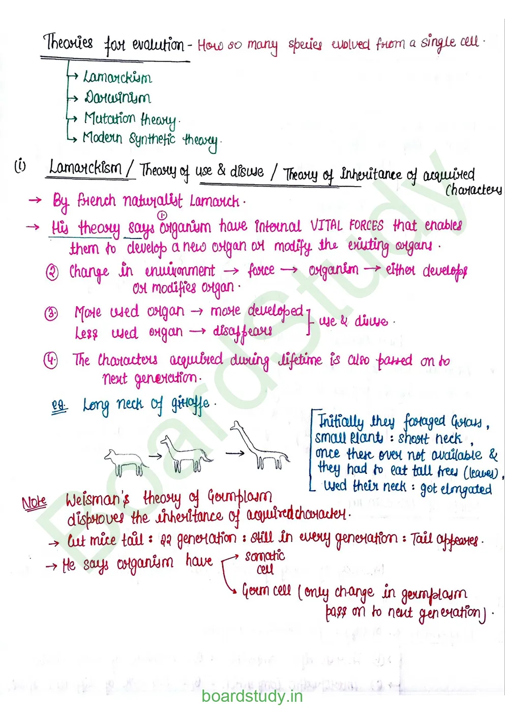 Evolution_page-0007