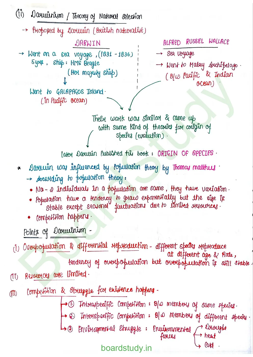 Evolution_page-0008