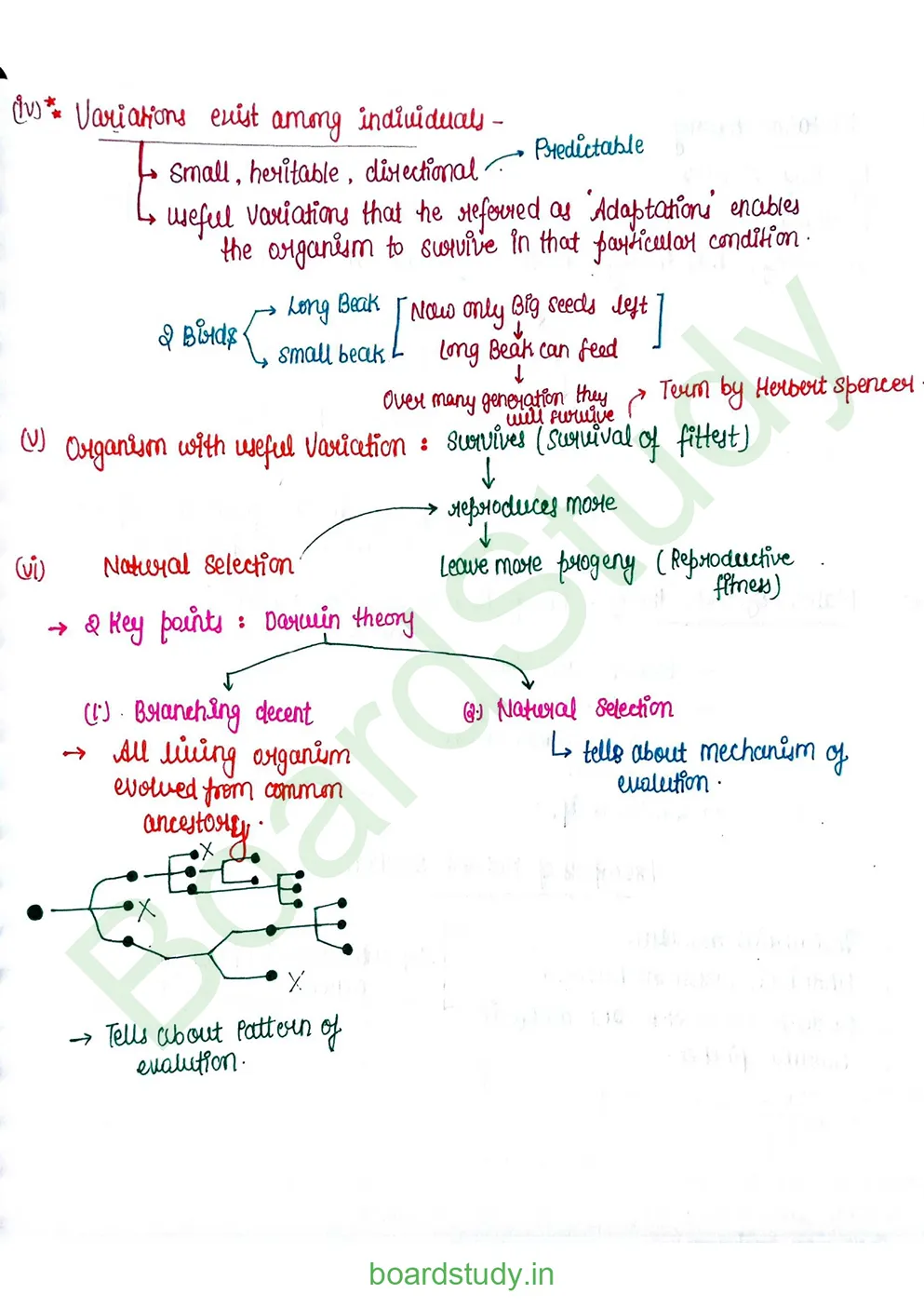 Evolution_page-0009