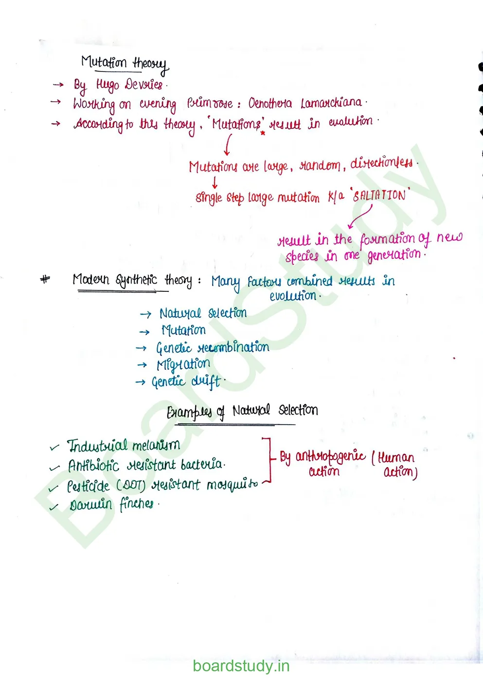 Evolution_page-0010
