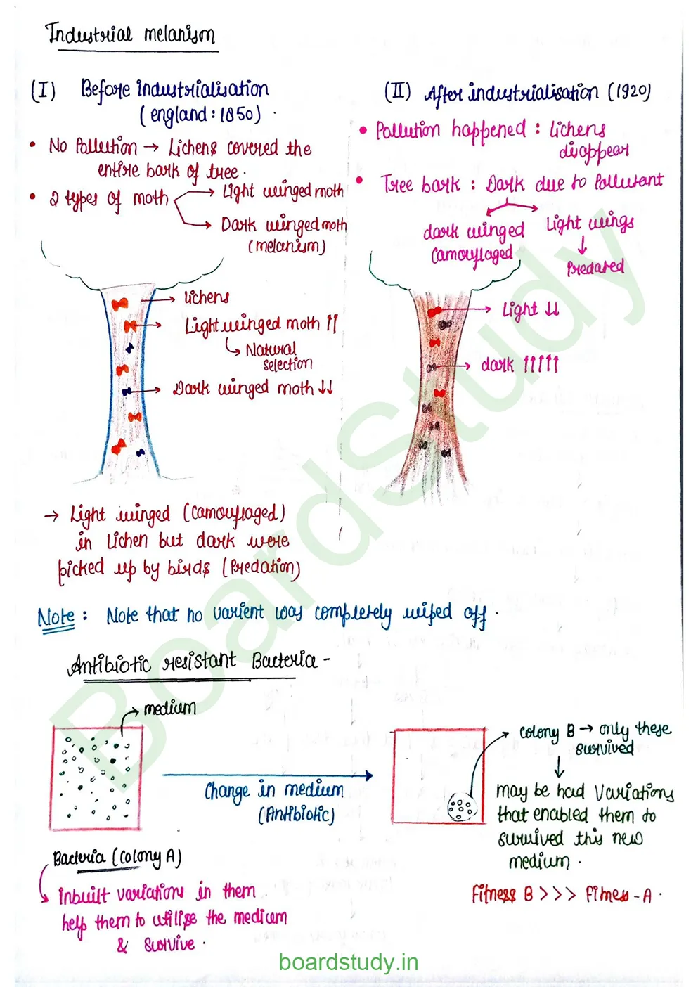 Evolution_page-0011