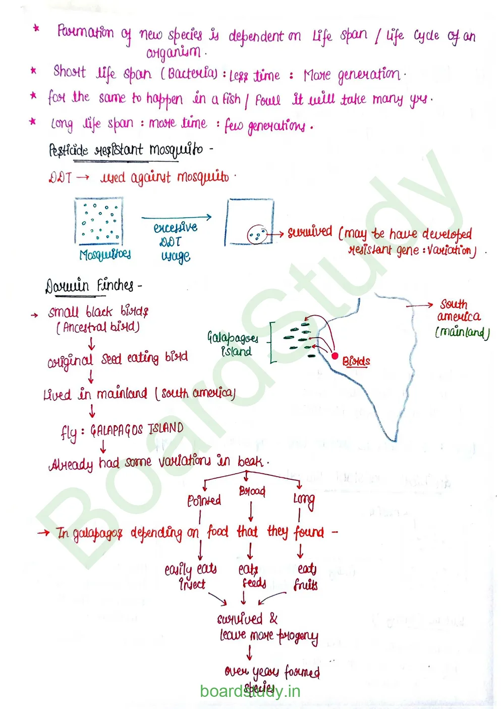 Evolution_page-0012