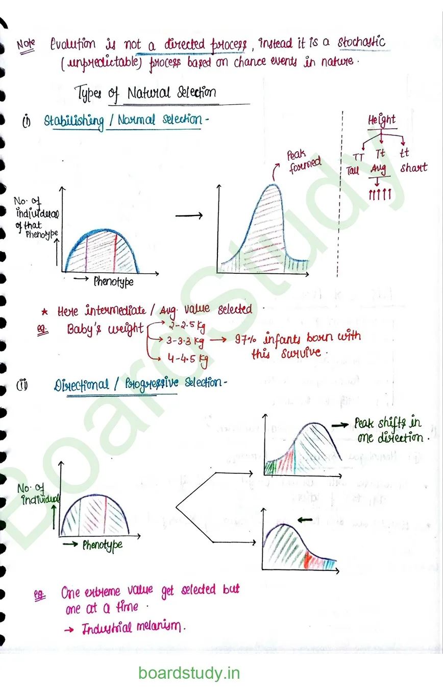 Evolution_page-0013