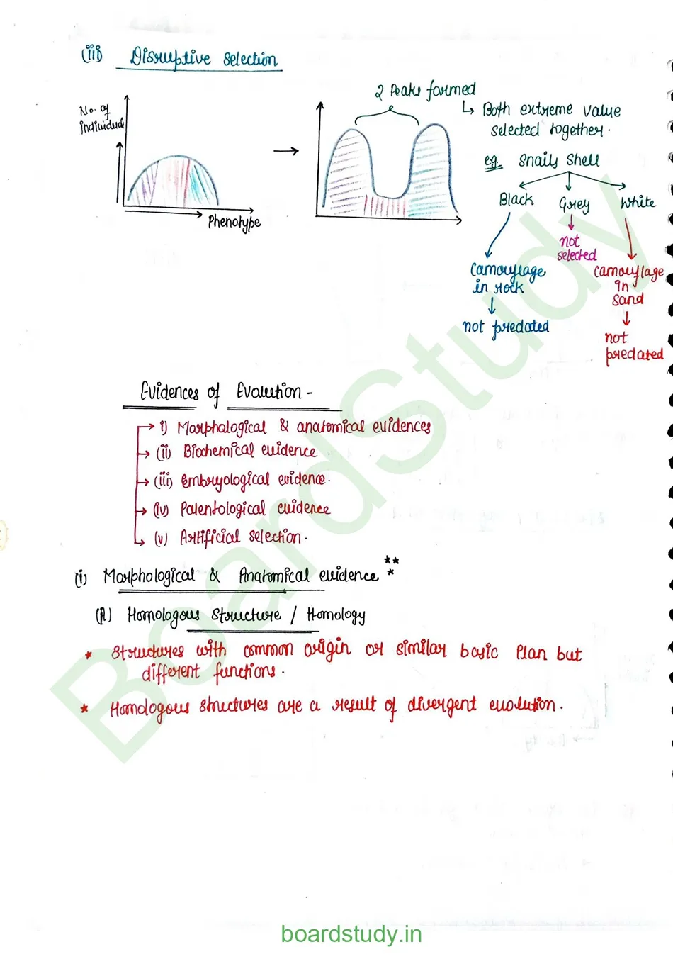 Evolution_page-0014