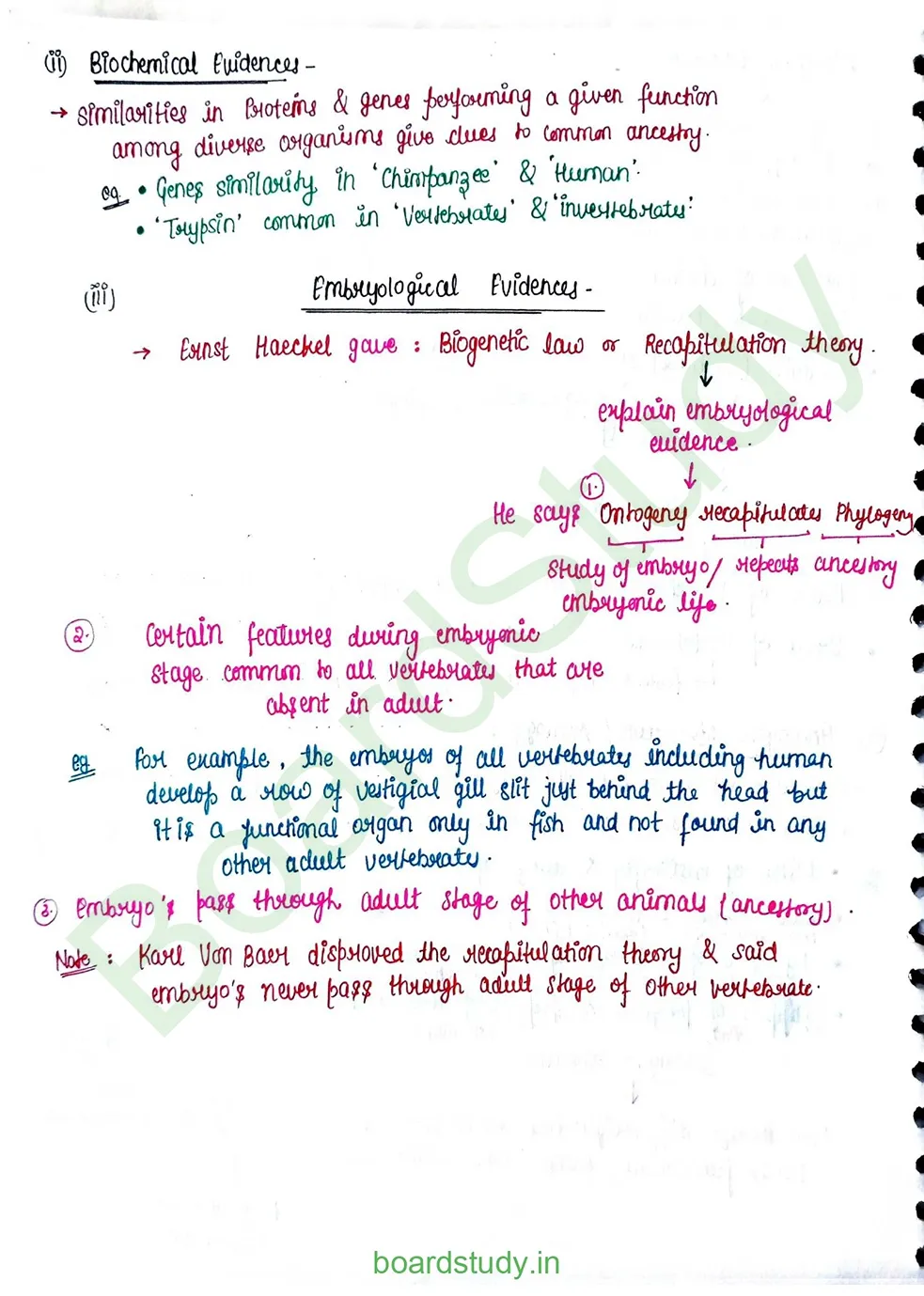 Evolution_page-0016