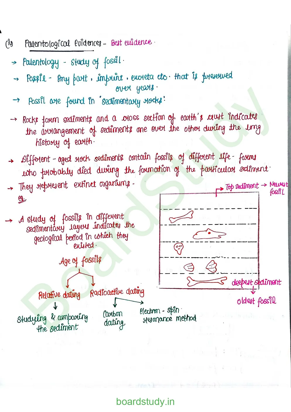 Evolution_page-0017