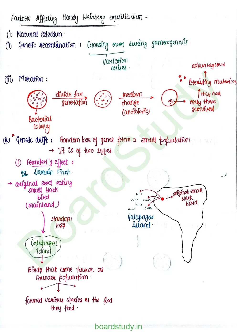 Evolution_page-0019