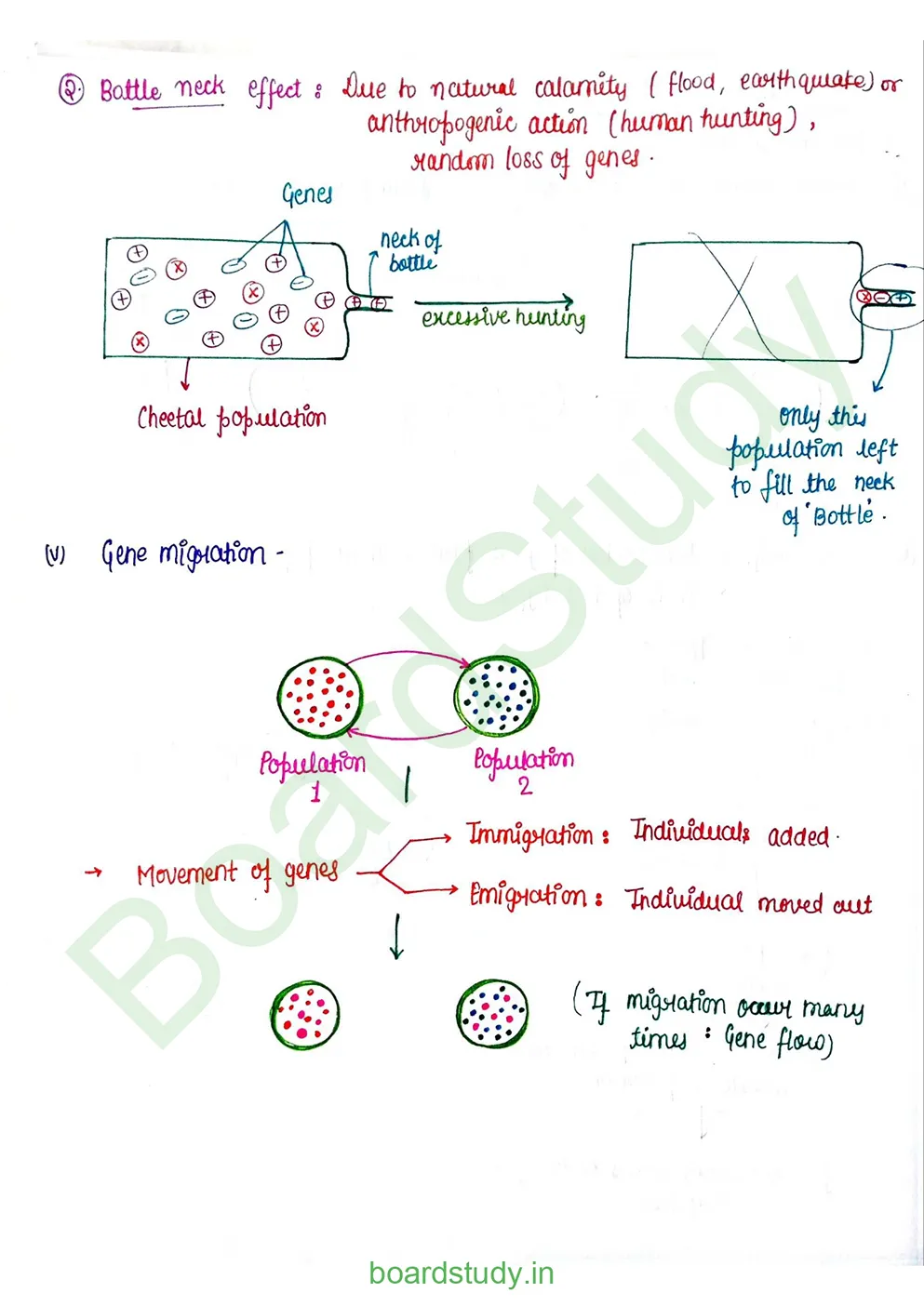Evolution_page-0020