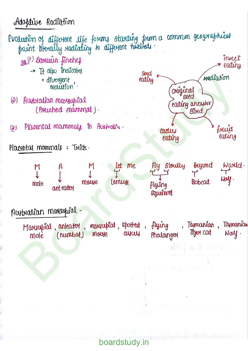 Evolution_page-0021