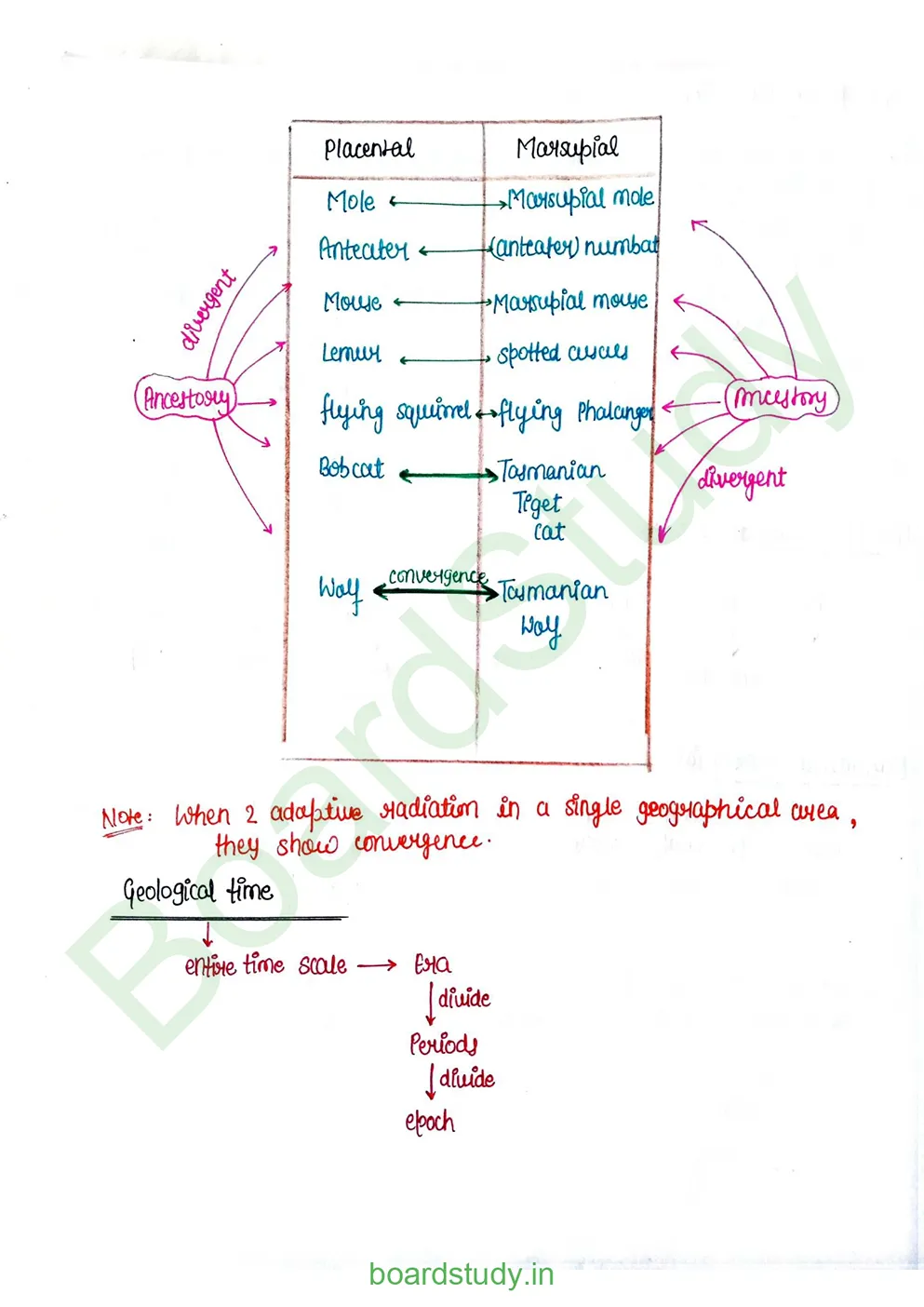 Evolution_page-0022