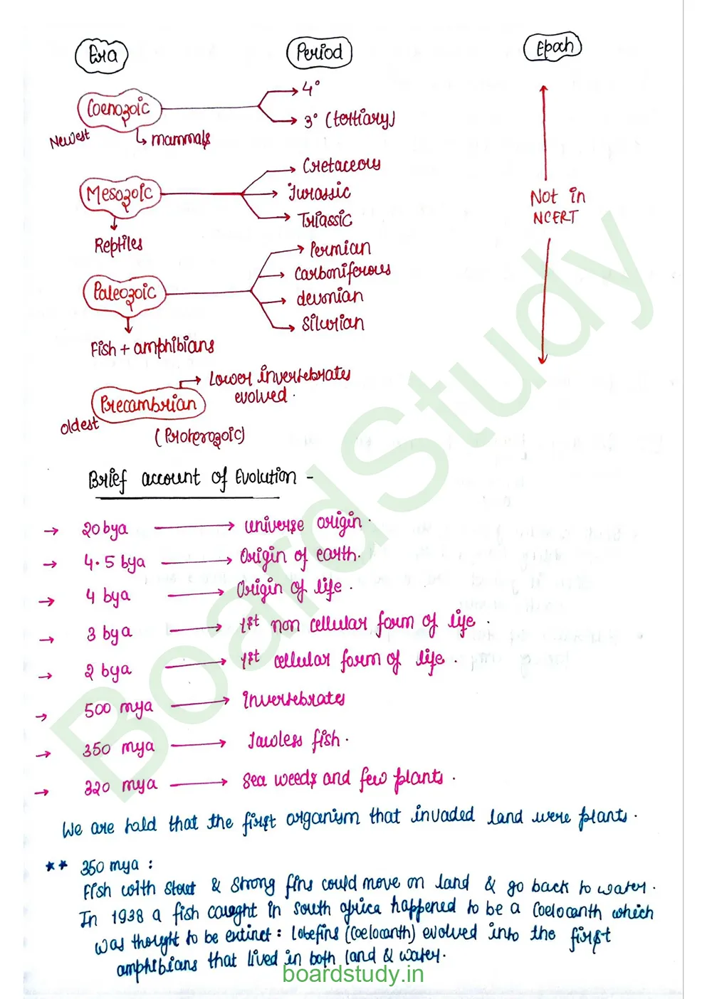 Evolution_page-0023