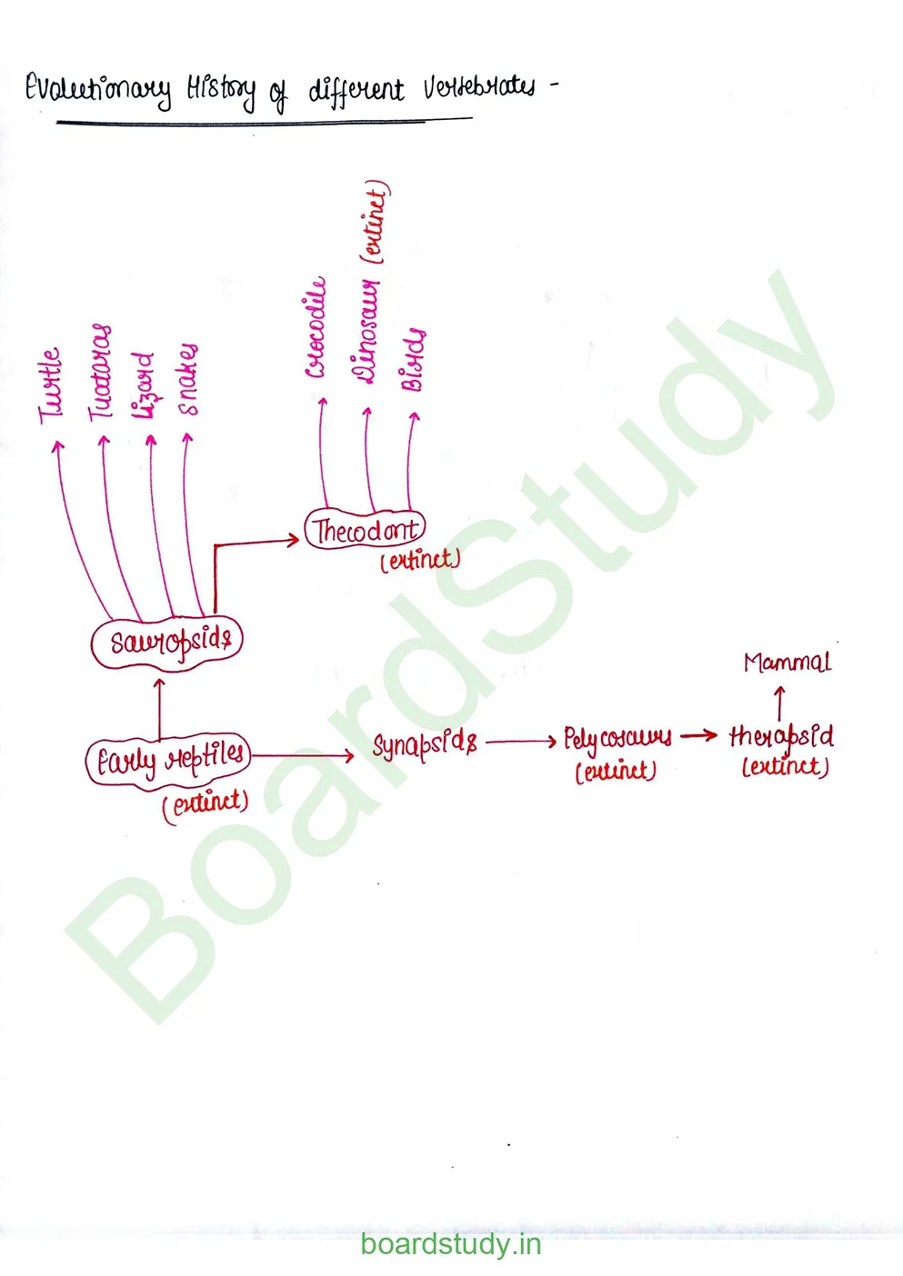 Evolution_page-0025