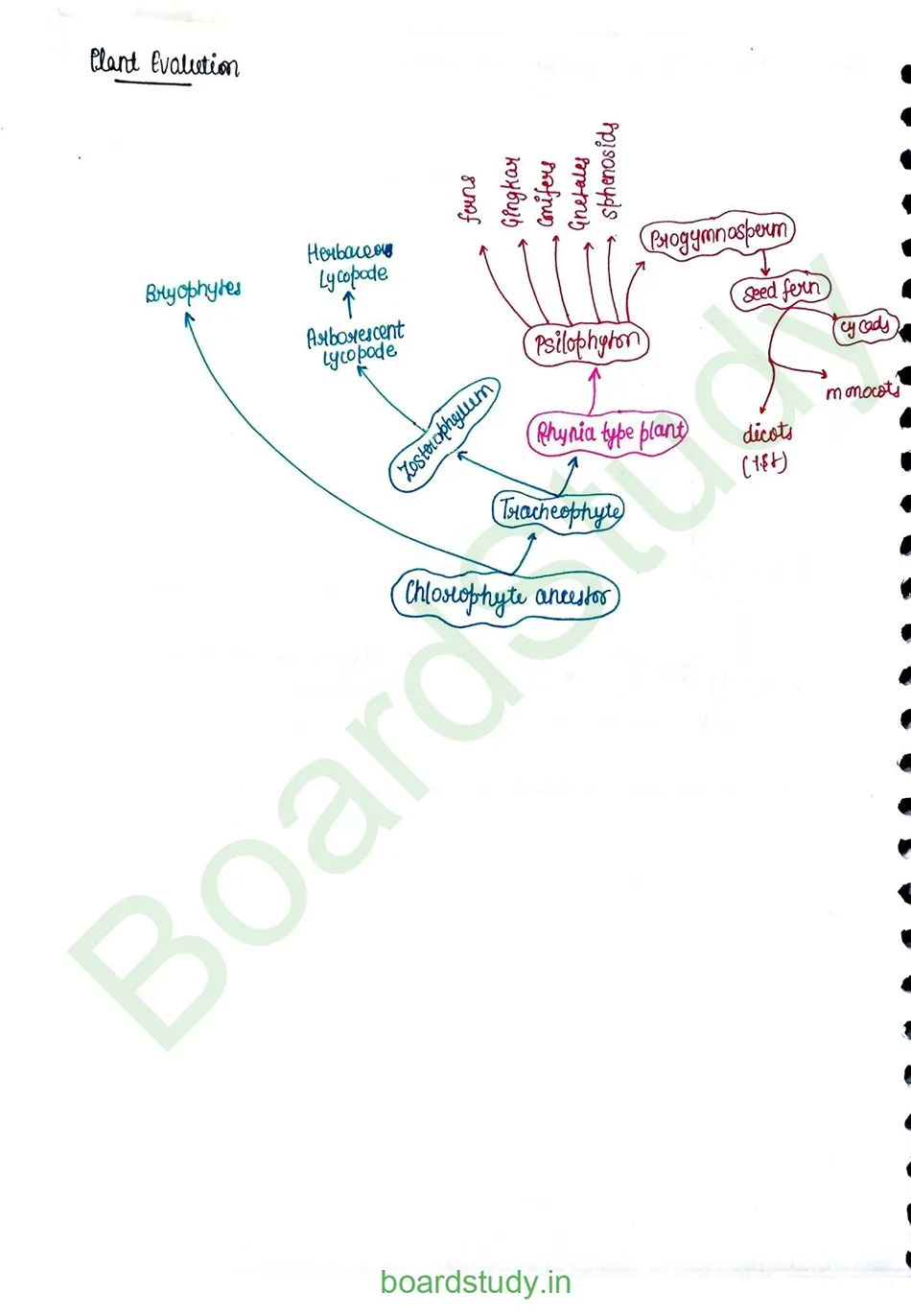 Evolution_page-0026