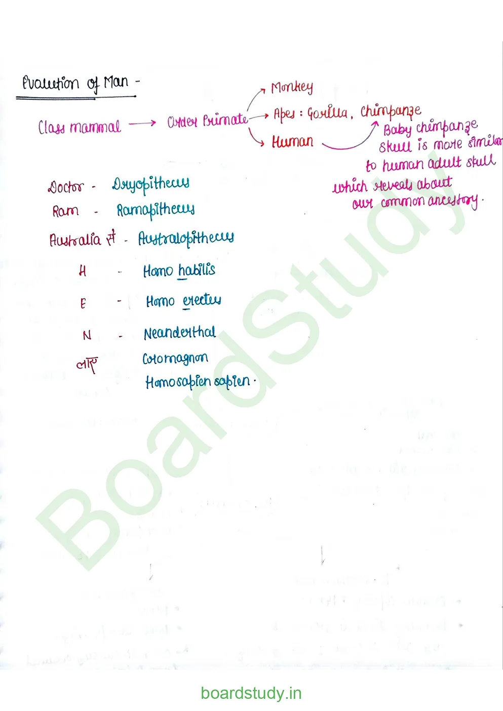 Evolution_page-0027